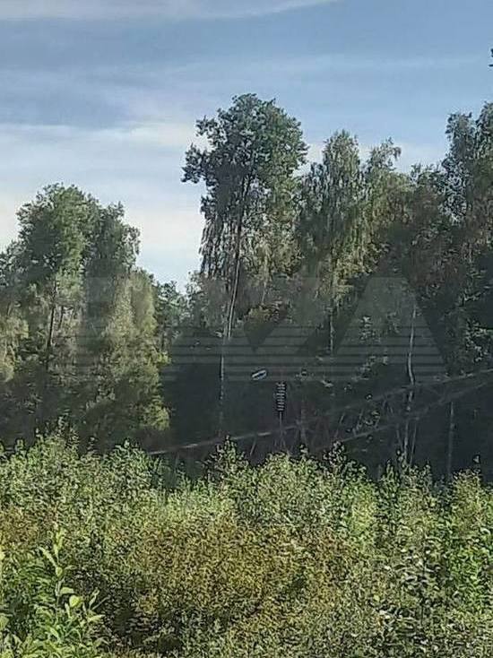 На Брянщине подорвали опоры ЛЭП возле железной дороги