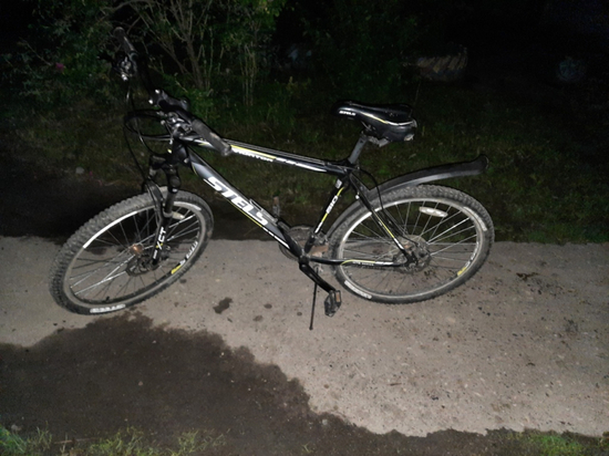 Заявитель сам нашел похищенный велосипед у своего нового соседа в Череповецком районе