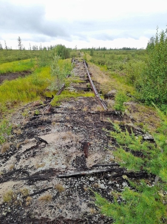 Железную дорогу 501-ой стройки на Ямале обследуют после сообщения о краже рельс