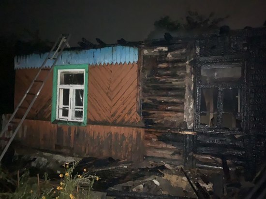 Следователи организовали проверку по факту смерти парня и девушки на пожаре в Донском