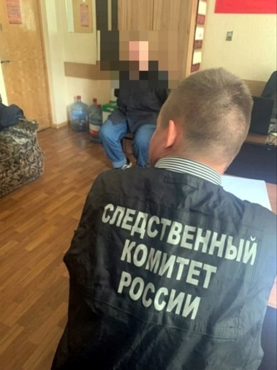 Обвиняемый в совершении преступлений в отношении несовершеннолетних предстанет перед судом в Вологде