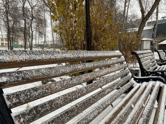 Первый снег выпадет в Новосибирске через две недели