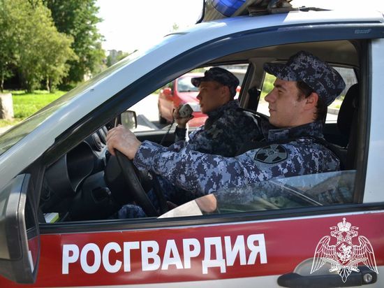 Доморощенный сомелье из Североморска перепробовал три бутылки алкоголя в мурманском магазине