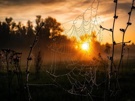 14 сентября в Смоленске будет дождливо