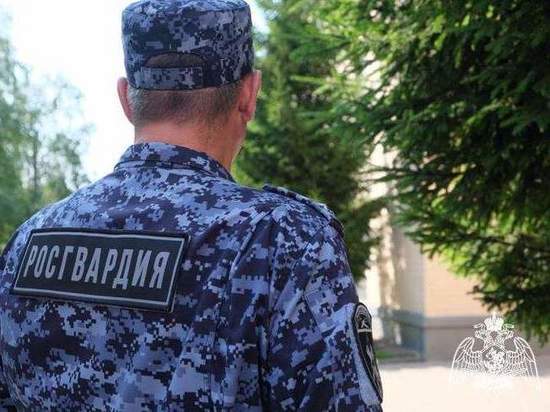 В Курской области сотрудники Росгвардии за неделю пресекли 110 правонарушений