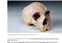 Изучая окаменевшие черепа, ученые знают, что размер мозга неандертальца был таким же, если не чуть больше, чем у современного человека