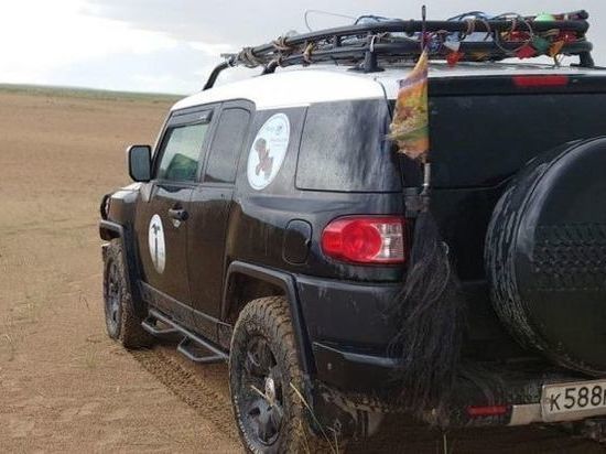 Новосибирского орнитолога Шнайдер не пропустили в Монголию с хвостом яка на автомобиле
