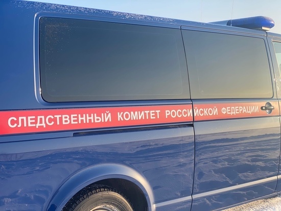 Суд решил судьбу новгородца, до смерти избившего отчима костылем