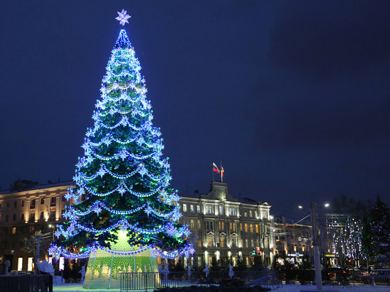 По просьбе горожан в Воронеже установят новогоднюю елку в Центральном парке