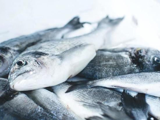 К августу 2022 года калининградские рыбаки выловили более 113 тыс. тонн рыбы