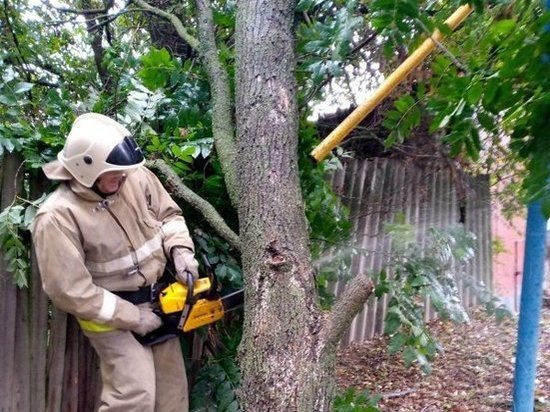 В слободе Михайловка Курской области упавшее дерево повредило газопровод