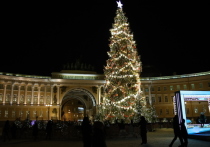 Власти Петербурга начали готовиться к Новому году и украшению города. Данные о елках и украшениях появились на портале госзакупок.