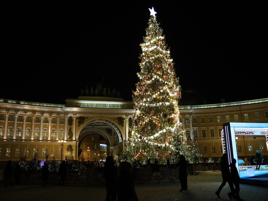 Стало известно, будет ли на Дворцовой площади живая елка на Новый год — 2023