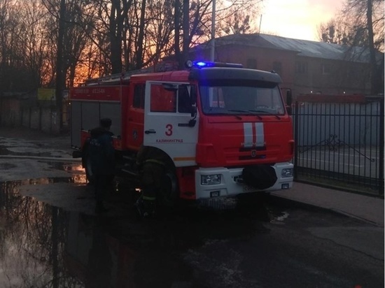 Ночью в Калининграде тушили горящее дерево