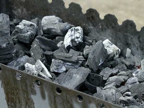Польский политолог назвал абсурдом поставки угля из Украины