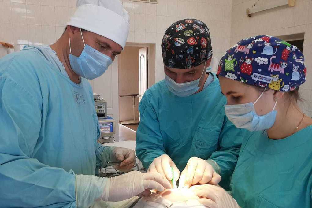 день детского хирурга. кафедра детской хирургии. немсадзе вахтанг панкратьевич. окб 1 тюмень. день детского хирурга.