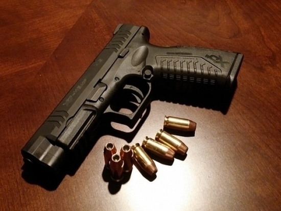 Собачники нашли пистолет с кобурой около Чистой слободы в Новосибирске