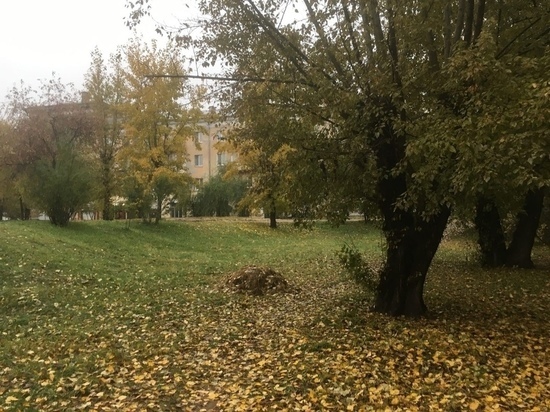 Мокрый снег и ветер до 22 м/сек ожидают 16-17 сентября в Забайкалье