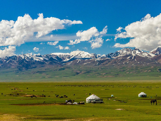 В Киргизии сообщили о стабильной обстановке на границе с Таджикистаном