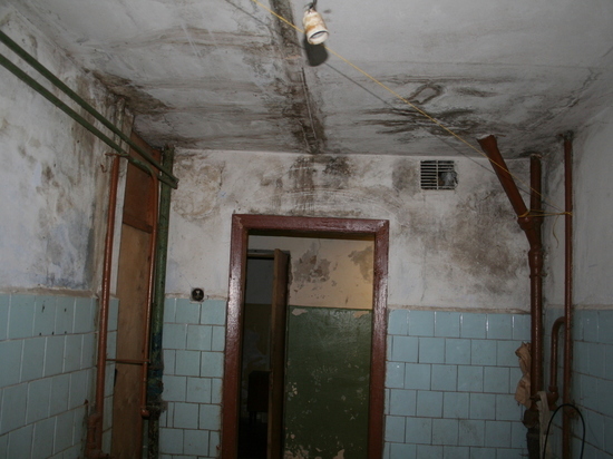 Заедали блохи, рушился потолок: семья с детьми из Новосокольников так и не дождалась расселения