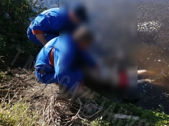 В Новотитаровском районе Кубани в реке обнаружили тело человека