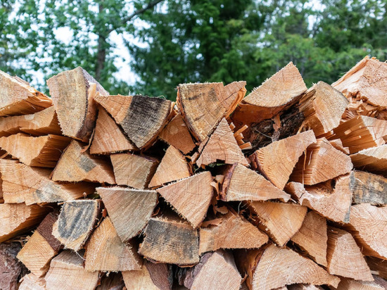 В Молдавии создали онлайн-площадку для поиска дров