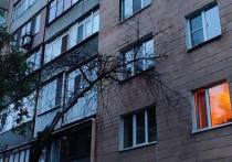 Массовое падение сухостоев в центре Донецка продолжается
