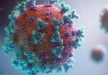 Последствия пандемии коронавируса человечеству предстоит пожинать еще очень долго, но уже сегодня мир ощутимо изменился