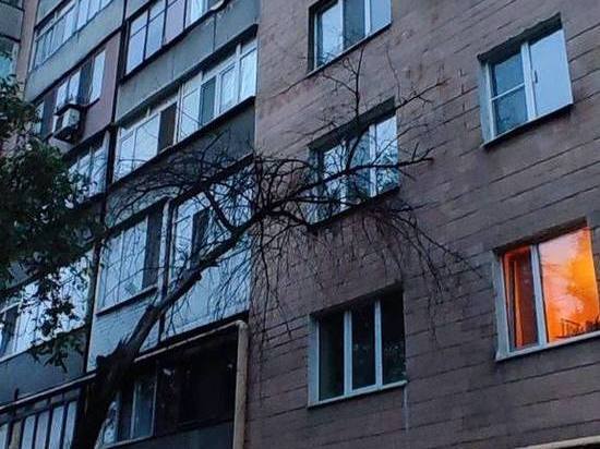 В Донецке продолжают падать сухостои: ФОТО