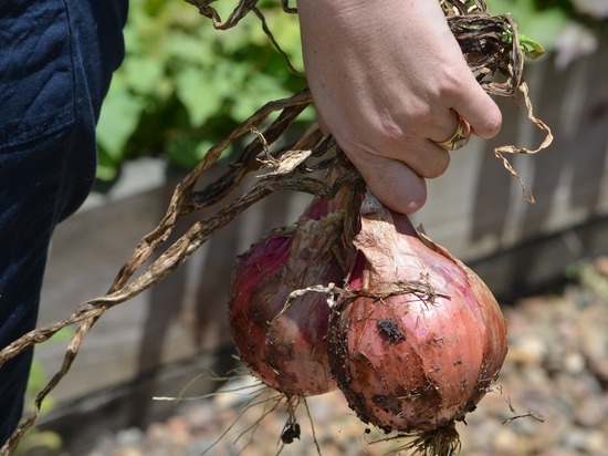 Народные приметы на 17 сентября 2022 года — что нельзя делать в этот день