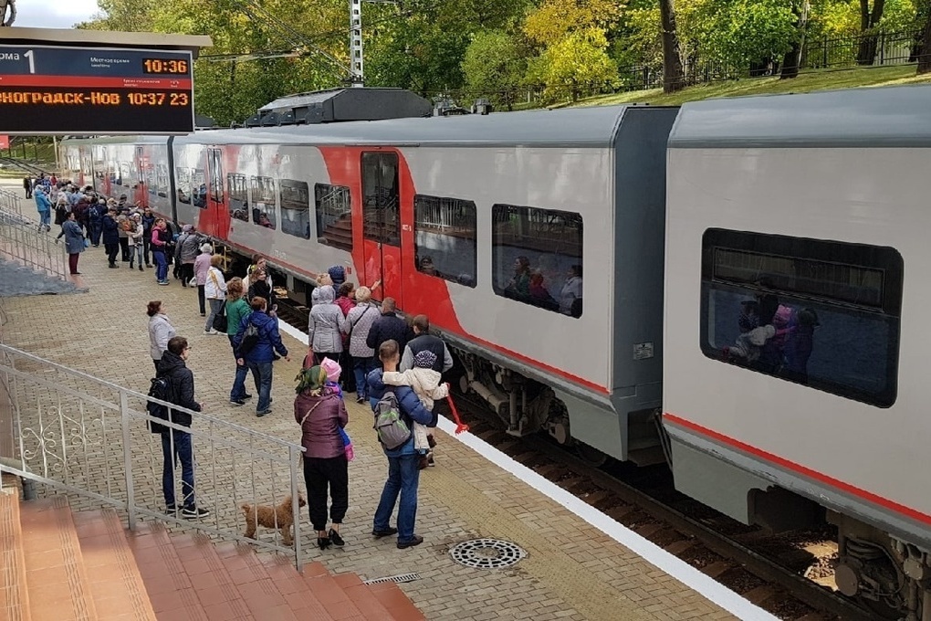 Зеленоградск как добраться из калининграда на электричке