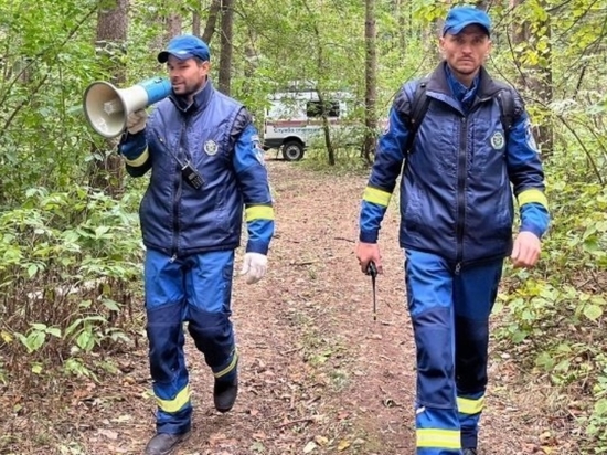 Заблудившегося грибника спасли в Воткинском районе