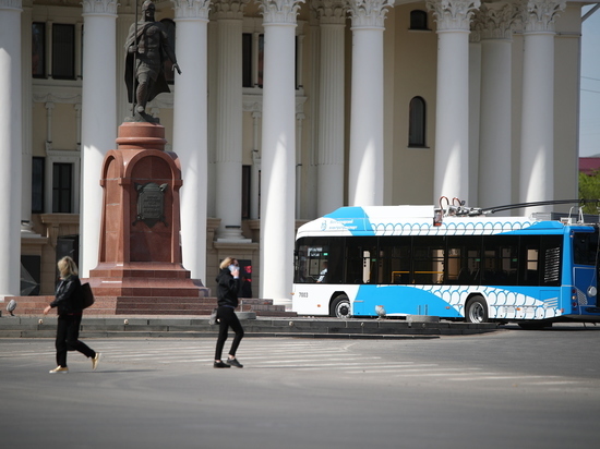 В Волгограде предложили 2 тарифа для проезда в общественном транспорте