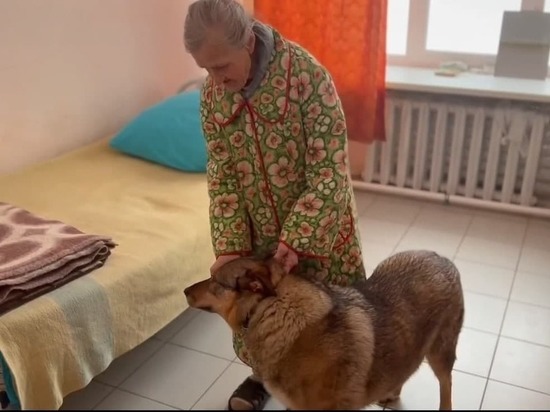 В Кирове бездомной бабушке с собакой выдали паспорт и СНИЛС