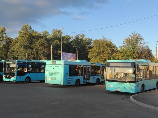 В Петербурге дополнительными автобусами усилили маршрут, связывающий две улицы в Шушарах