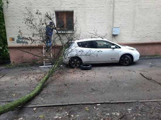 В Курске на улице Школьной дерево рухнуло на электромобиль Nissan Leaf