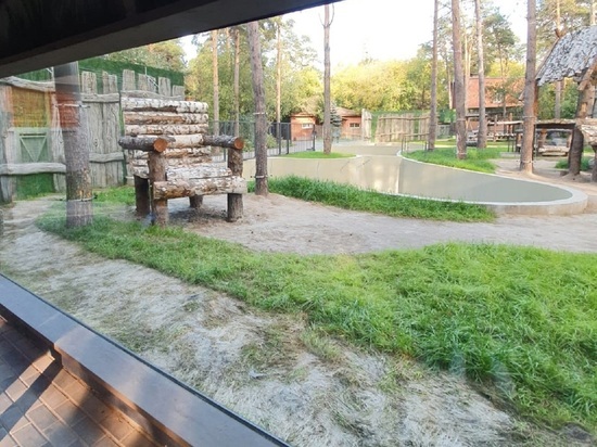 Новые вольеры для медведей в Новосибирском зоопарке до сих пор пустуют