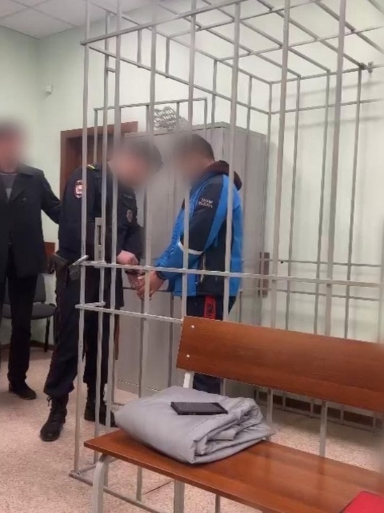 Подозреваемых в убийстве 16-летней девушки арестовали в Красноярске