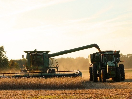 Освобожденный Першотравневый район ДНР стал лидером по урожайности