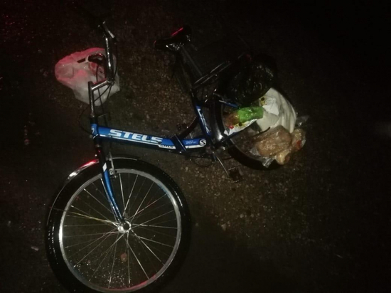 Под Воронежем 20-летняя автоледи на иномарке сбила велосипедиста