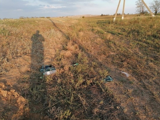 В Ростовской области подросток на «Ладе» погиб в ДТП