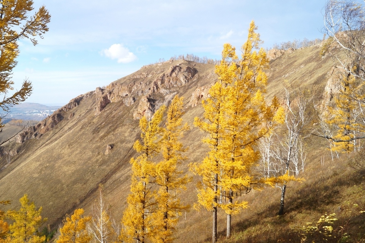 Красноярск осень