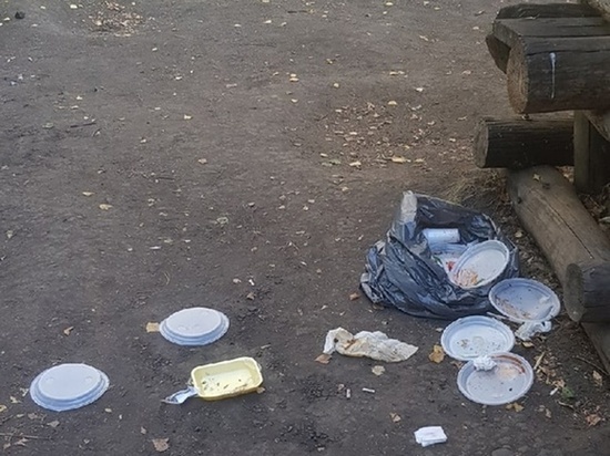 Горожанина возмутил мусор и «туалет в кустах» в парке имени 300-летия Омска