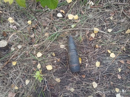 В Курске на Соловьиной нашли артиллерийский снаряд Второй мировой войны