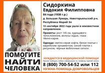 В Марий Эл объявлен поиск 84-летней Евдокии Сидоркиной.