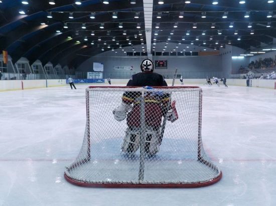 Молодежная хоккейная команда может появиться в Новгородской области