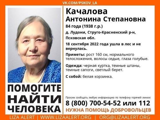 Пенсионерку в берете и с белой корзинкой разыскивают в Псковской области