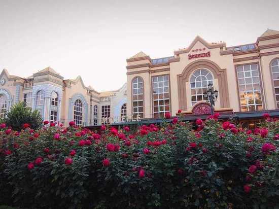 Интерес туристов к Кисловодску вырос в 14 раз за год