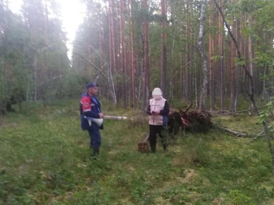 Заплутавшего мужчину нашли в лесу около Новинки