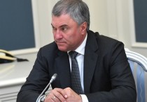 Спикер ГД Вячеслав Володин ратует за перевод школ с муниципального уровня подчинения на региональный